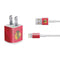 NHL Blackhawks Red Stripes iPhone Charger (5W USB) Skin