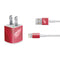 NHL Detroit Red Wings Home Jersey iPhone Charger (5W USB) Skin