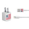Republican American Flag iPhone Charger (5W USB) Skin