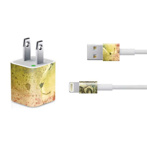 Profile of the Lion of Judah iPhone Charger (5W USB) Skin