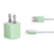 Celadon Solid iPhone Charger (5W USB) Skin