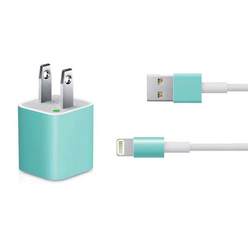 Turquoise Blue Solid iPhone Charger (5W USB) Skin