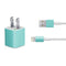 Turquoise Blue Solid iPhone Charger (5W USB) Skin