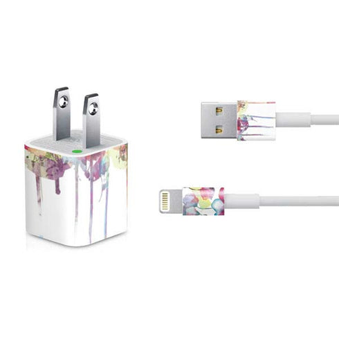 Painted Flowers iPhone Charger (5W USB) Skin