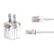 Painted Flowers iPhone Charger (5W USB) Skin