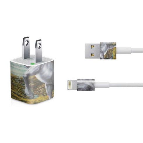 Ed Beard Jr. Unicorn of the Willow iPhone Charger (5W USB) Skin