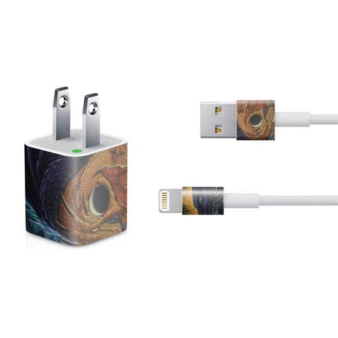 Ed Beard Jr. Yin Yang Dragon iPhone Charger (5W USB) Skin