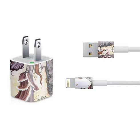 Amy Brown Dragon Charmer Fairy iPhone Charger (5W USB) Skin