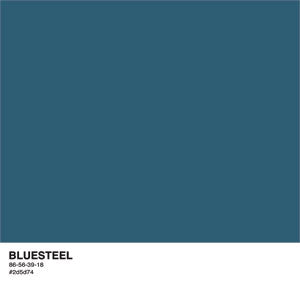 Bluesteel Color Palette Wii (Includes 1 Controller) Skin
