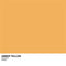 Amber Yellow PlayStation 4 Gold Wireless Headset Skin