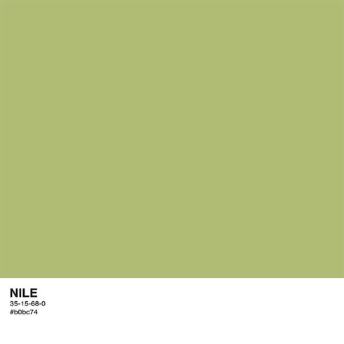 Nile Color Palette iPhone XS Clear Case