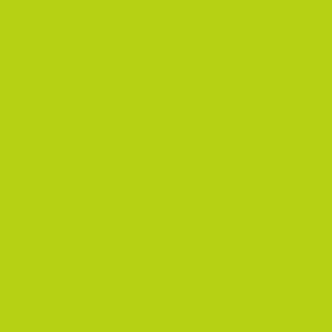 Lime Solid Surface Pro 6 Skin