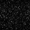 Black Speckle Wii (Includes 1 Controller) Skin