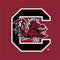 University of South Carolina Gamecocks Logo Red Nintendo 2DS XL (2017) Skin