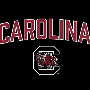 University of South Carolina Athletic Text & Logo Studio Wireless Skin