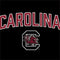 University of South Carolina Athletic Text & Logo Studio Wireless Skin