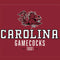 University of South Carolina Gamecocks Red Studio Wireless Skin