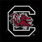 University of South Carolina Gamecocks Logo Black Studio Wireless Skin