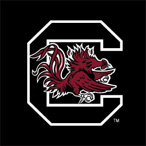 University of South Carolina Gamecocks Logo Black Nintendo 2DS XL (2017) Skin
