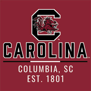 University of South Carolina Columbia SC, EST. 1801 Nintendo 2DS XL (2017) Skin