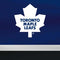 NHL Toronto Maple Leafs Jersey Xbox Adaptive Controller Skin