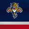 NHL Florida Panthers Alternate Jersey Fire TV Cube Skin