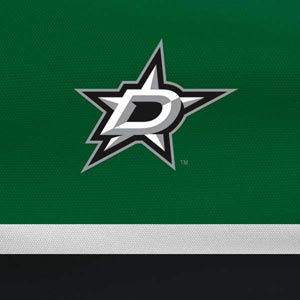 NHL Dallas Stars Jersey Playstation 3 & PS3 Skin