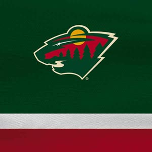 NHL Minnesota Wild Jersey Xbox One X Console Skin