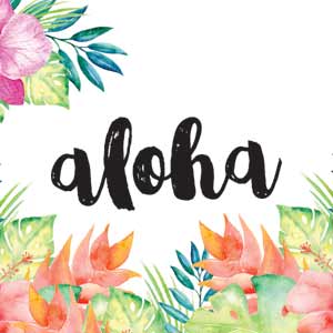 Aloha Tropical PS5 DualSense Edge Pro Controller Skin