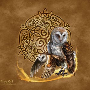 Brigid Ashwood Owl Celtic Knot Google Home Skin