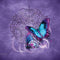 Brigid Ashwood Butterfly Celtic Knot 3DS (2011) Skin