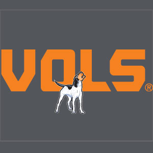 University of Tennessee-Knoxville Vols iPhone 14 Pro Skin