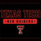 Texas Tech University TT Red Raiders Nintendo 2DS XL (2017) Skin