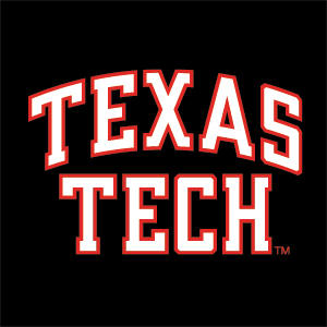 Texas Tech University Bold Xbox 360 Slim (2010) Skin