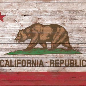 California Flag Dark Wood Xbox One Elite Controller Skin