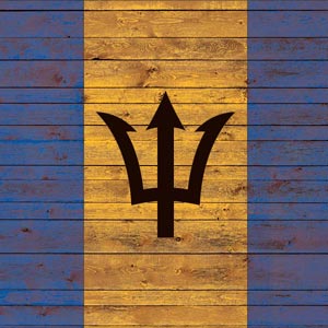 Barbados Flag Dark Wood Xbox One X Console Skin