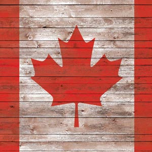 Canadian Flag Dark Wood Xbox One X Controller Skin