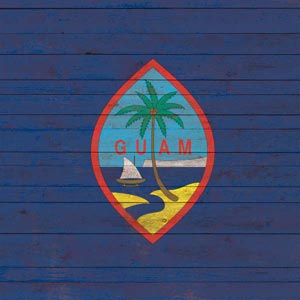 Guam Flag Dark Wood Beats Solo 2 Wired Skin
