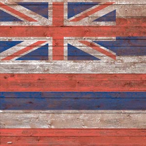 Hawaiian Flag Dark Wood PS5 DualSense Edge Pro Controller Skin