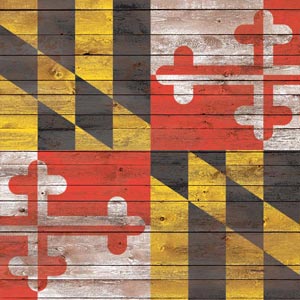 Maryland Flag Dark Wood Oculus Quest 2 Skin