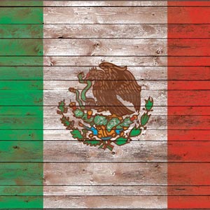 Mexican Flag Dark Wood Pixelbook Skin