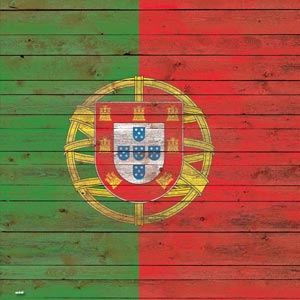 Portuguese Flag Dark Wood Xbox One Console and Controller Bundle Skin