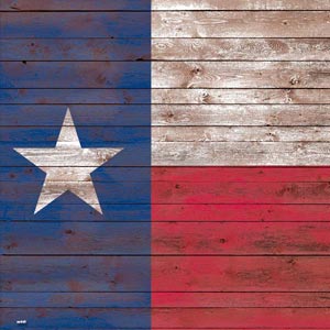 Texas Flag Dark Wood iPhone 13 Folio Case