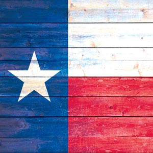Texas Flag Light Wood PS4 Pro Console Skin