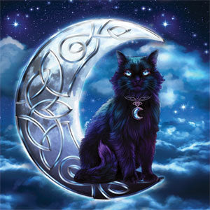 Brigid Ashwood Celtic Black Cat Xbox 360 (Includes HDD) Skin