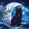 Brigid Ashwood Celtic Black Cat Wii (Includes 1 Controller) Skin