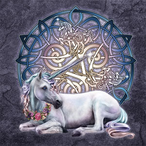 Brigid Ashwood Celtic Unicorn Xbox 360 Slim (2010) Skin