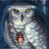White Owl by Ed Beard Jr iPhone XS Clear Case