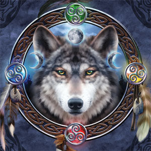 Brigid Ashwood Wolf Symbols Wii (Includes 1 Controller) Skin