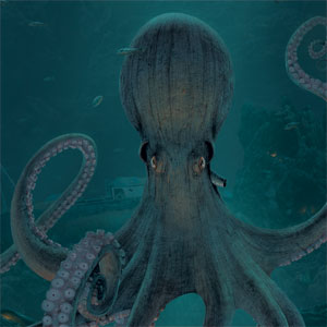 Vincent Hie Giant Octopus Wii (Includes 1 Controller) Skin